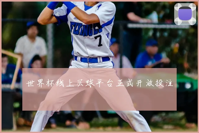 世界杯线上买球平台正式开放投注