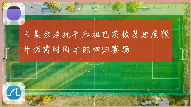 卡莱尔谈托平和祖巴茨恢复进展预计仍需时间才能回归赛场