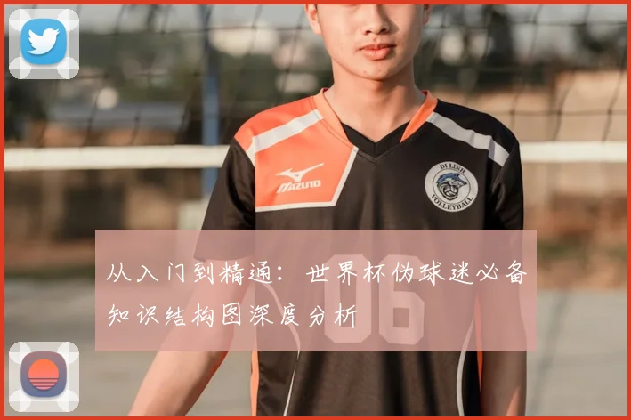 从入门到精通：世界杯伪球迷必备知识结构图深度分析