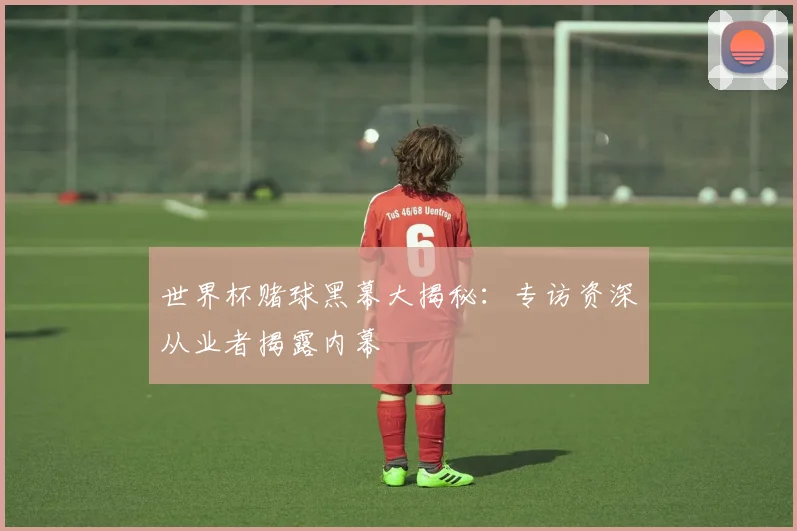 世界杯赌球黑幕大揭秘：专访资深从业者揭露内幕