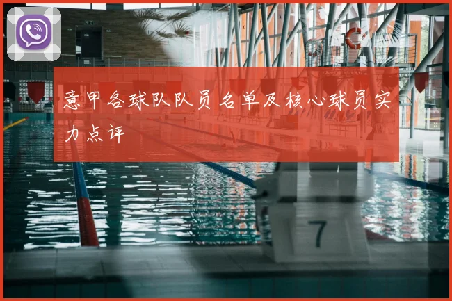 意甲各球队队员名单及核心球员实力点评