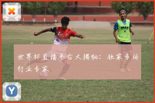世界杯直播平台大揭秘:独家专访行业专家