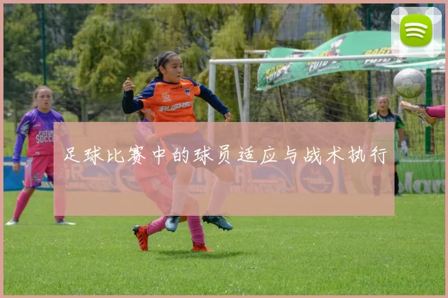 足球比赛中的球员适应与战术执行
