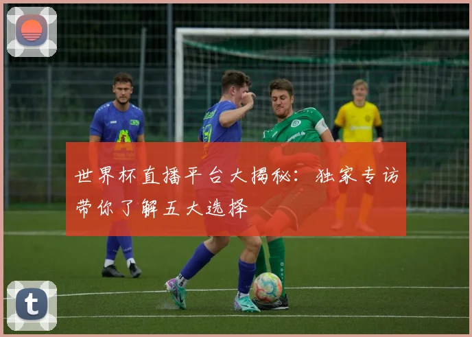 世界杯直播平台大揭秘：独家专访带你了解五大选择